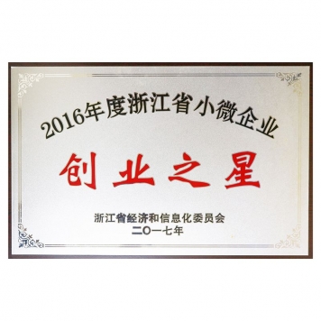 2016年度浙江省微小企業(yè)創(chuàng)業(yè)之星