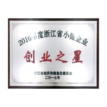2016年度浙江省小微企業(yè)創(chuàng)業(yè)之星